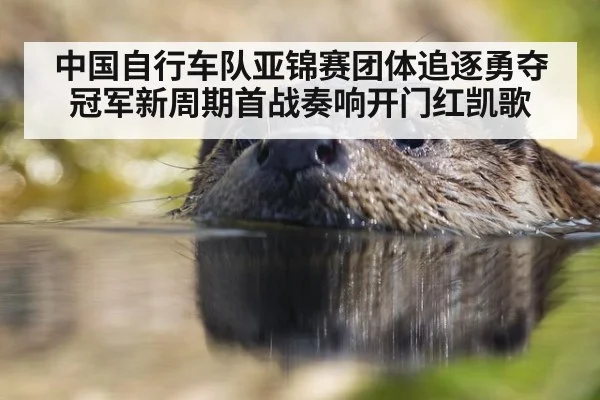 中国自行车队亚锦赛团体追逐勇夺冠军新周期首战奏响开门红凯歌