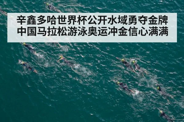 辛鑫多哈世界杯公开水域勇夺金牌 中国马拉松游泳奥运冲金信心满满