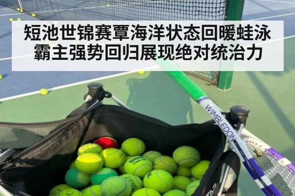 短池世锦赛覃海洋状态回暖蛙泳霸主强势回归展现绝对统治力